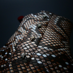 Sylvian K467 'Risk' Vegan Skull Stud boot